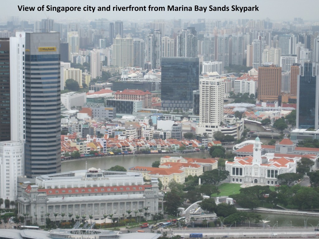 004 Singapore city from Skypark