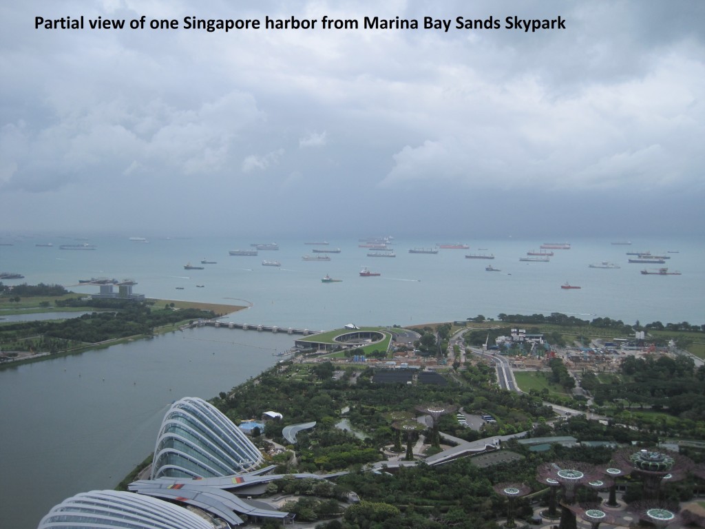 005 Singapore harbor from Skypark