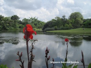 006 Singapore Botanical Gardens 1