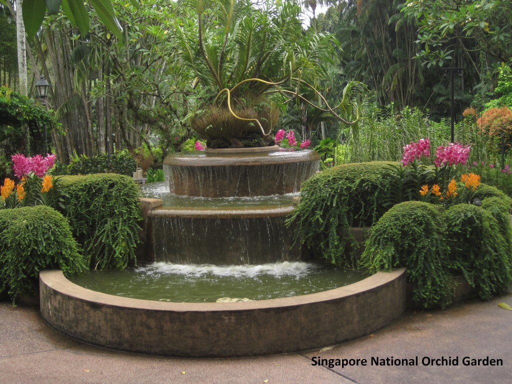 010 Singapore Orchids 2